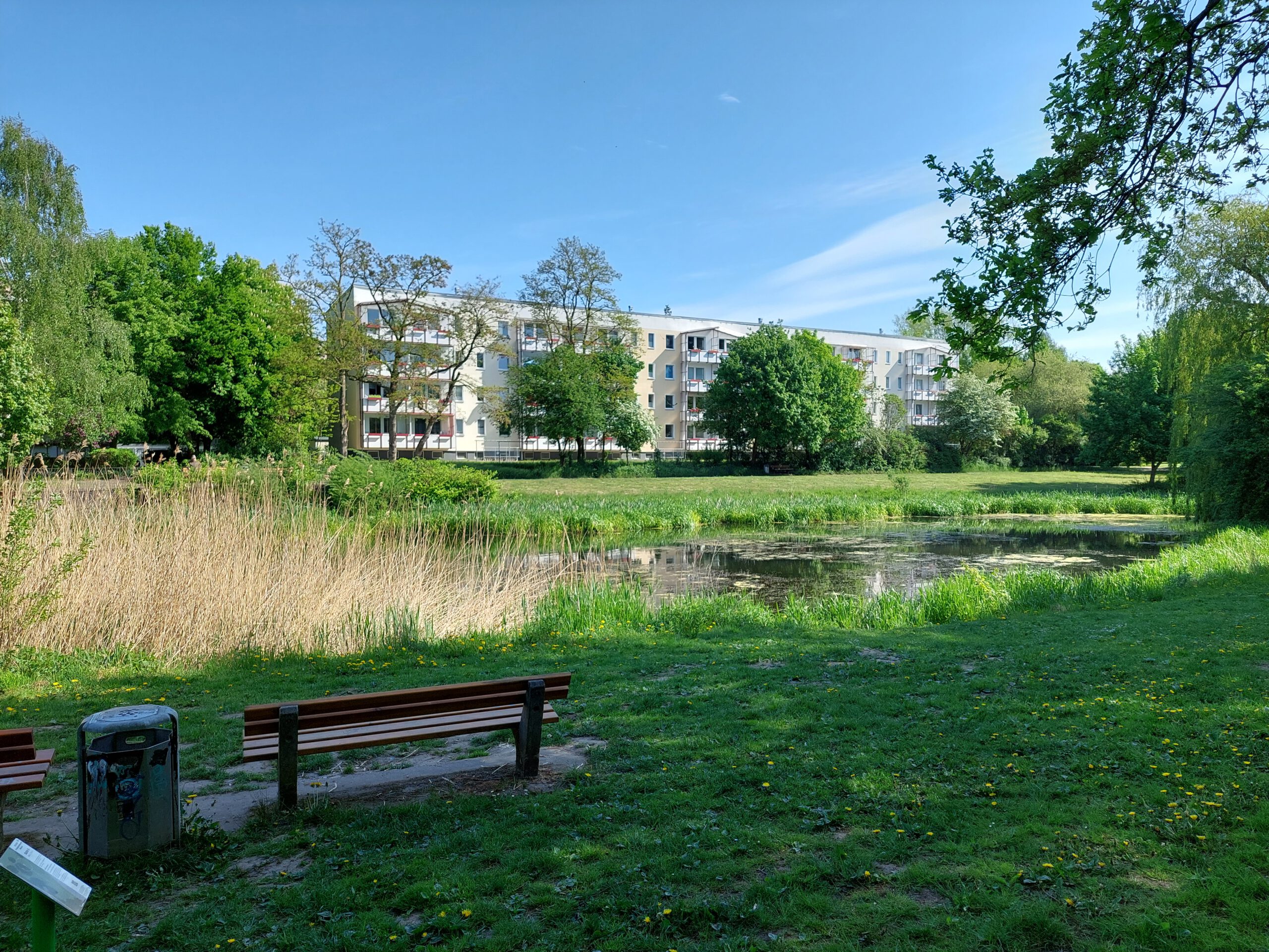 Die Sanierung des Kringelgrabens