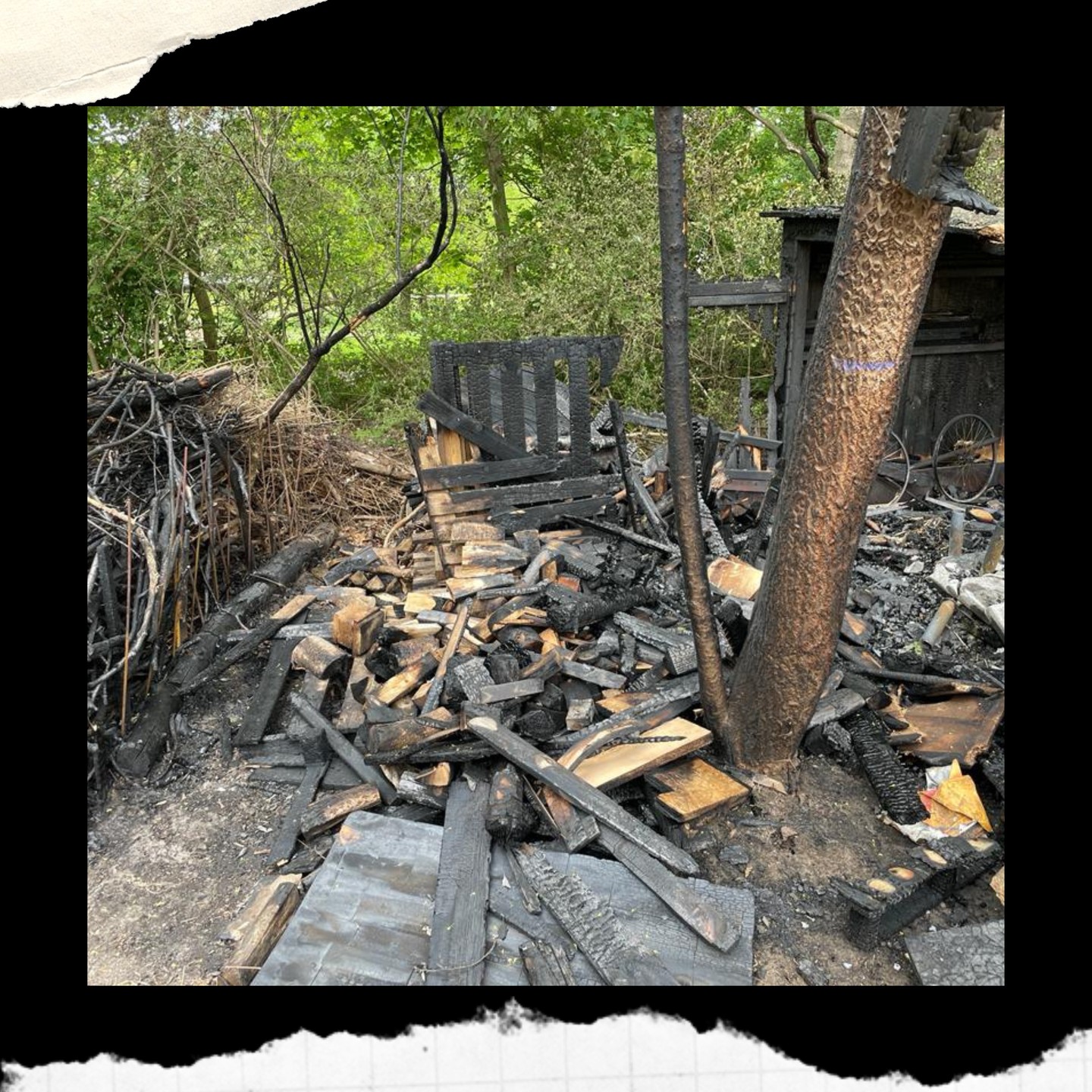 Brandstiftung am SBZ, Hilfe beim Wiederaufbau gesucht