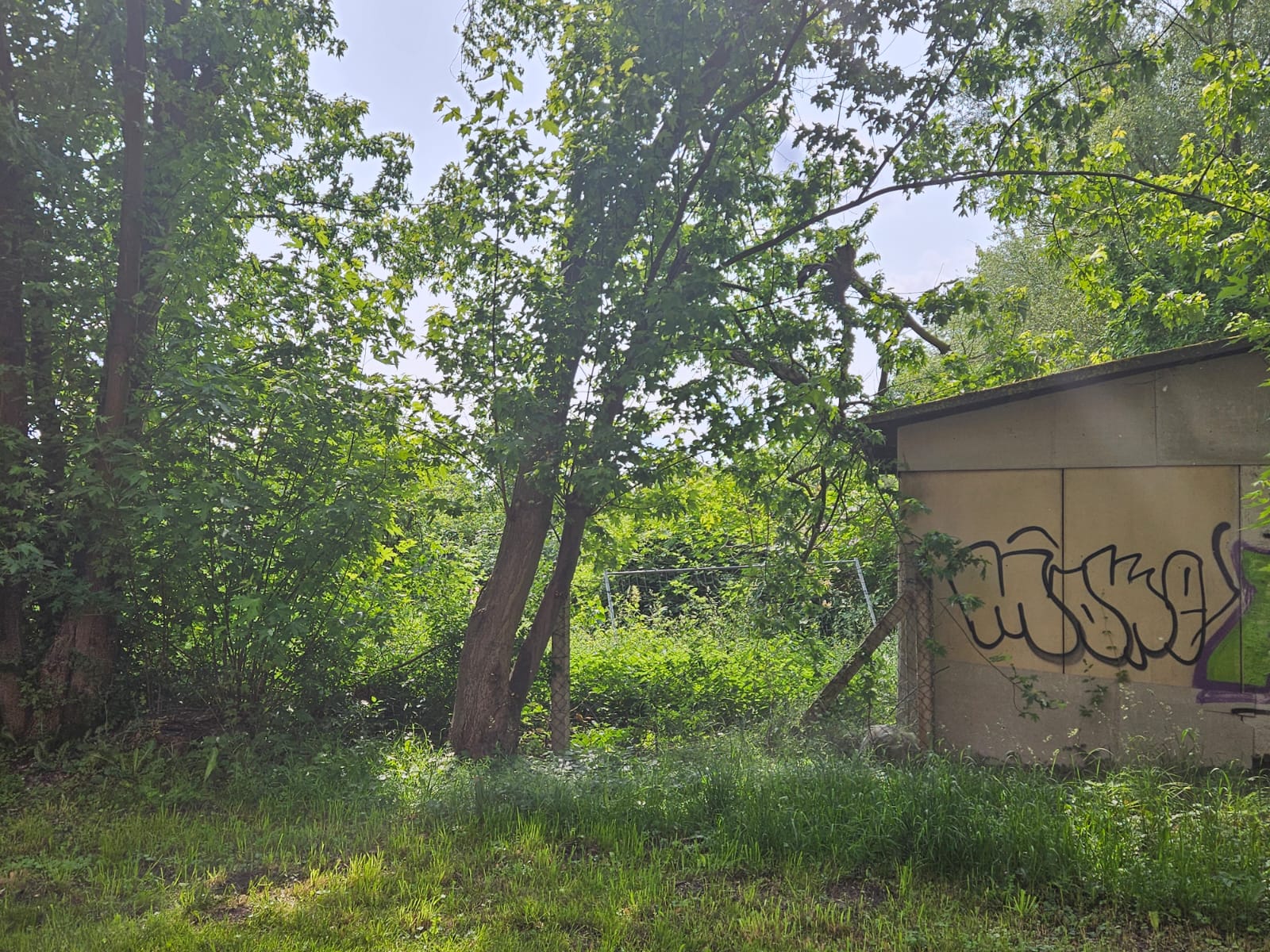 Ortsbeirat Südstadt, 05.06.2025